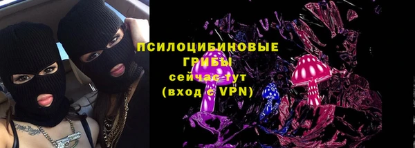 гидра Иннополис