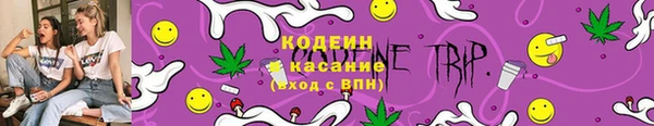 spice Инсар