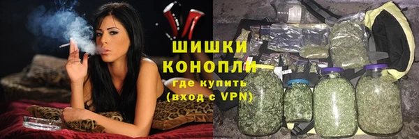 стафф Михайлов
