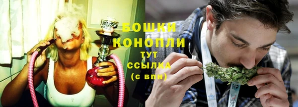 spice Инсар