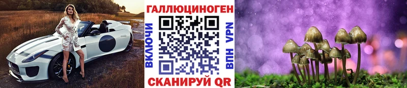 Купить где  Буйнакск  Псилоцибиновые грибы Psilocybe 